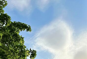 Summer Afternoon! - image gratuit #492311